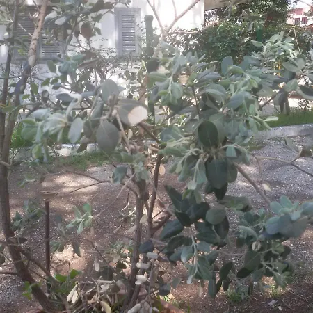 Parco Delle Viole *