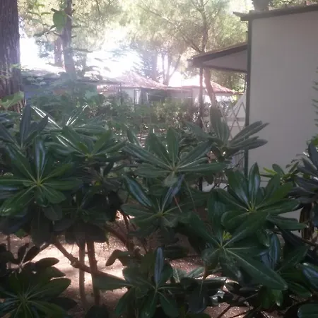 Parco Delle Viole * Paestum