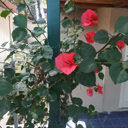 Camping Parco Delle Viole *