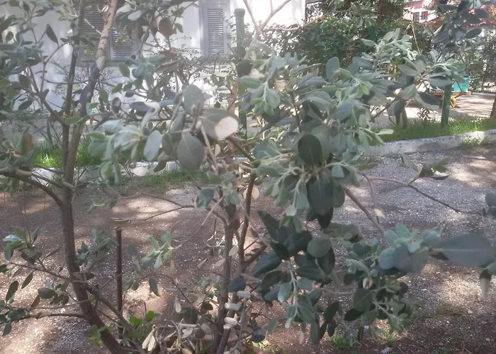 Parco Delle Viole *