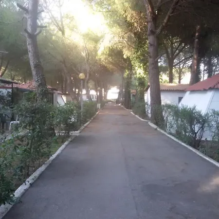 Campingplads Parco Delle Viole
