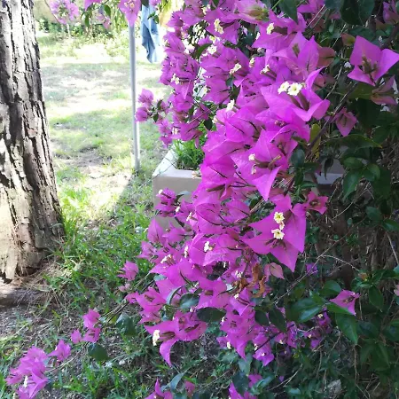 Parco Delle Viole